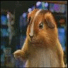 avaadmin_1141010938.gif
